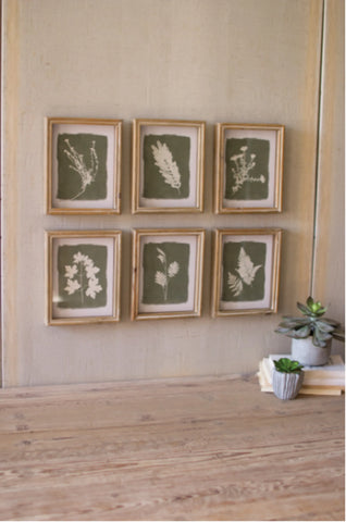 Set Of 6 Fern Prints Under Glass 8"D X 10"T Each
