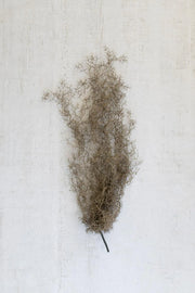 ARTIFICIAL GREY MOSS