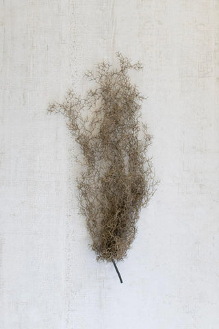 ARTIFICIAL GREY MOSS