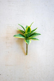 ARTIFICIAL HAHNII STEM