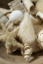 BAG OF COASTAL FILLER