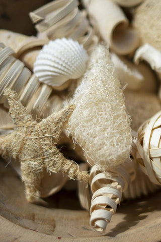 BAG OF COASTAL FILLER