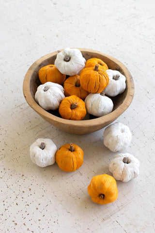 BAG OF FIFTEEN DRIED MINIATURE FAUX PUMPKINS - WHITE