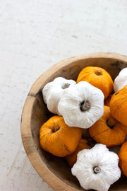 BAG OF FIFTEEN DRIED MINIATURE FAUX PUMPKINS - WHITE