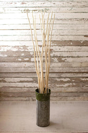 BUNDLE OF TWELVE NATURAL KAMBOOI BRANCHES