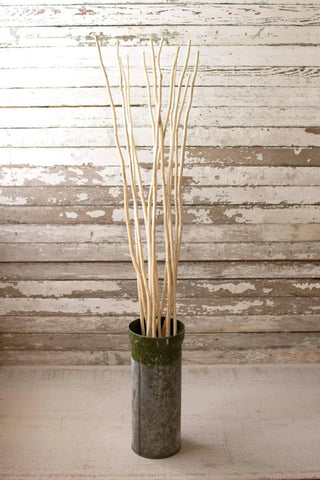 BUNDLE OF TWELVE NATURAL KAMBOOI BRANCHES