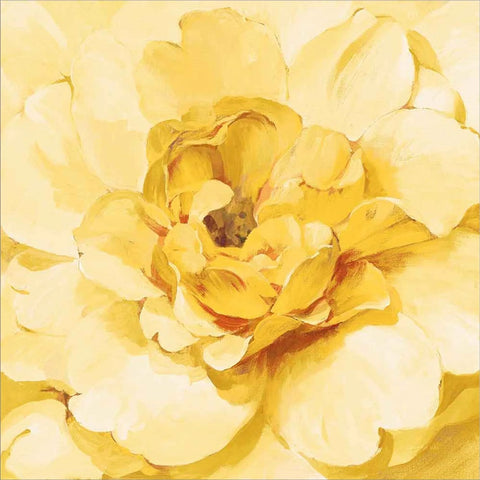 Yellow Peony by Danhui Nai, Canvas Art