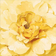 Yellow Peony by Danhui Nai, Canvas Art