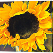 Sunshine on my Mind by Jessica Manelis, Canvas Art