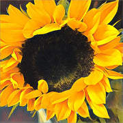 Sunshine on my Mind by Jessica Manelis, Canvas Art