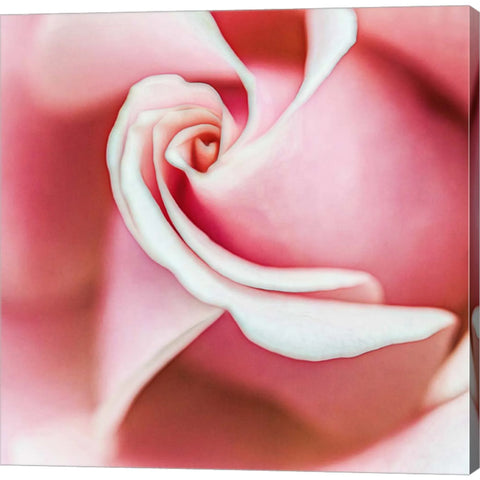 Wholly Joyous by Jessica Manelis, Canvas Art