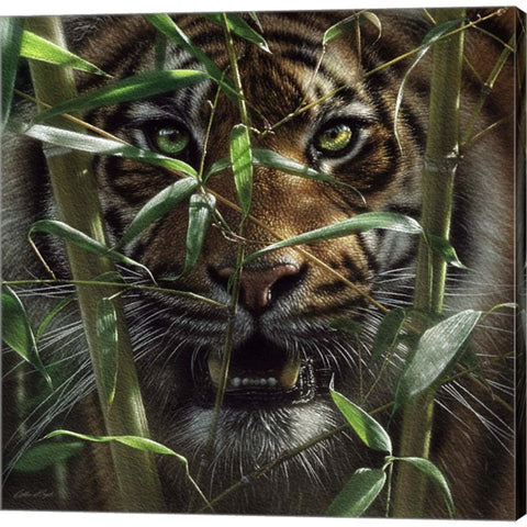 Hungry Eyes by Collin Bogle, Canvas Art