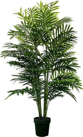 5' Artificial Double Phoenix Palm