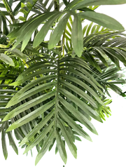 5' Artificial Double Phoenix Palm