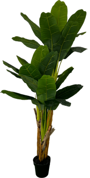 6' Deluxe Artificial Banana Plant (Tree) - 3 Stalk
