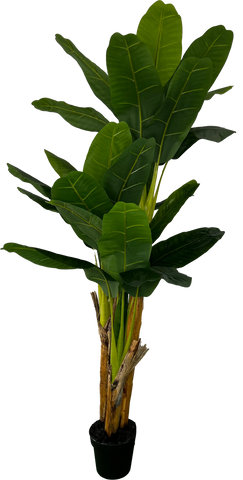 6' Deluxe Artificial Banana Plant (Tree) - 3 Stalk