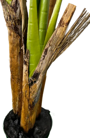 6' Deluxe Artificial Banana Plant (Tree) - 3 Stalk