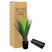 3.5' Agave Blue Artificial Plant In Home Basics Plastic Pot