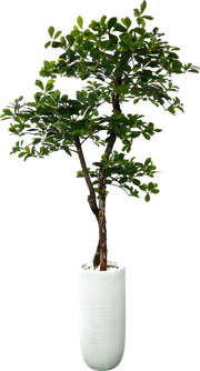 5' Artificial Black Olive Tree