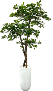 5' Artificial Black Olive Tree