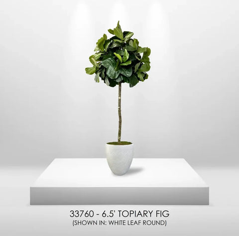 6.5' Artificial Topiary Fig Tree in Growers Pot