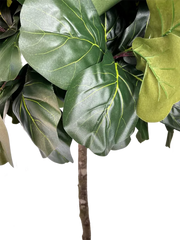 6.5' Artificial Topiary Fig Tree in Growers Pot