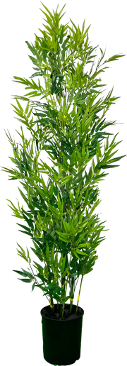 6' Artificial Bamboo Plant (Tree)
