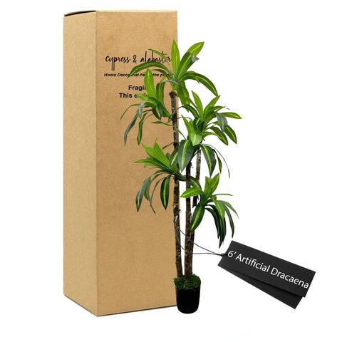 6' Artificial Dracaena Tree In Home Basics Plastic Pot
