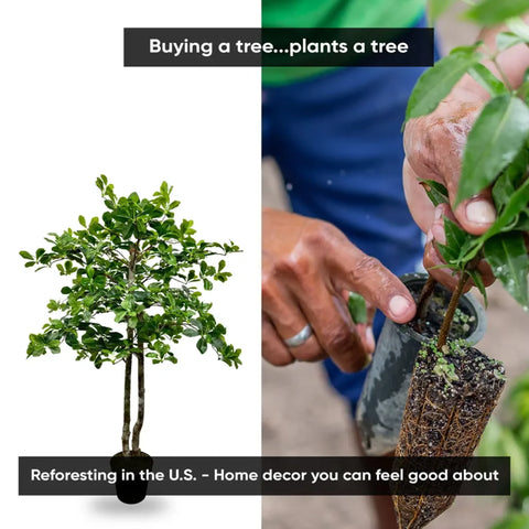 Handmade 4' Italian Black Olive Leaf Artificial Tree