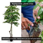 Handmade 6' Italian Black Olive Leaf Artificial Tree