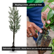 Handmade 6' Artificial Olive Tree - Real Touch Artificial Plant