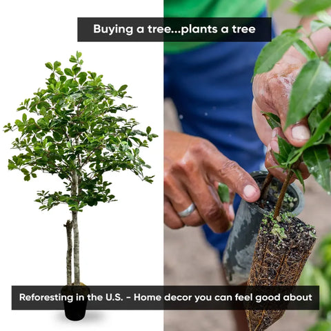 Handmade 5' Italian Black Olive Leaf Artificial Tree