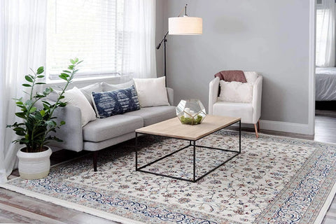 10x13 Feet Ivory Cream Floral Oriental Persian Area Rug