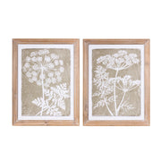 Framed Queen Anne's Lace and Fern Wall Art