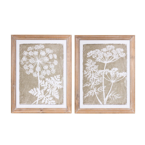Framed Queen Anne's Lace and Fern Wall Art