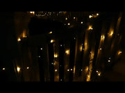 Battery Operated String Lights 50/100/200 LED
